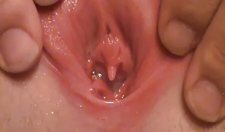 Sveto srce 05 film porn 2018